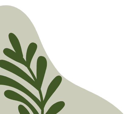 CIL MÚP HA PHONG